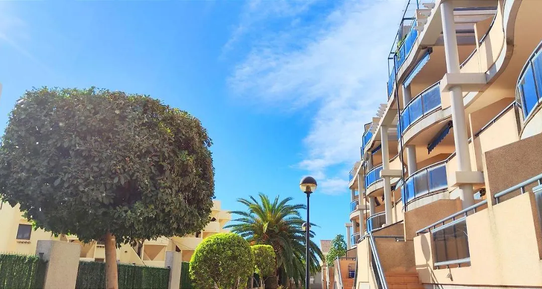 Apartamento Jacaranda By Denia Costa-1