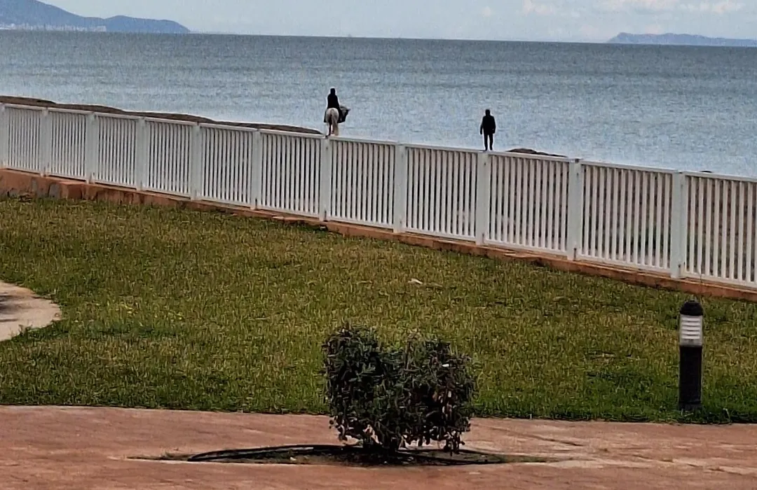 Mirador al Mar 85 Apartamento único sobre el mar-1