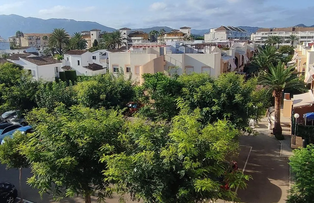 La Palmera-1