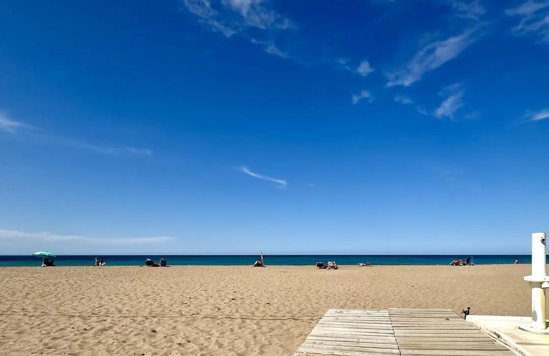 Las perlas VYBDenia-1
