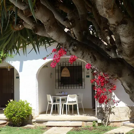 Little Oasis-3
