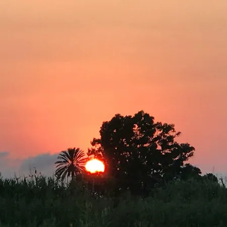 Oasis Paradise-3