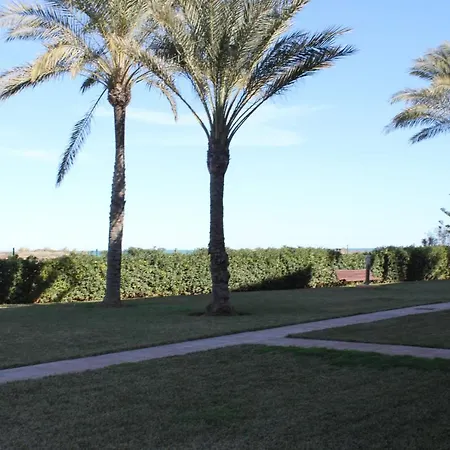 187 Palm Beach - Deniasol-2