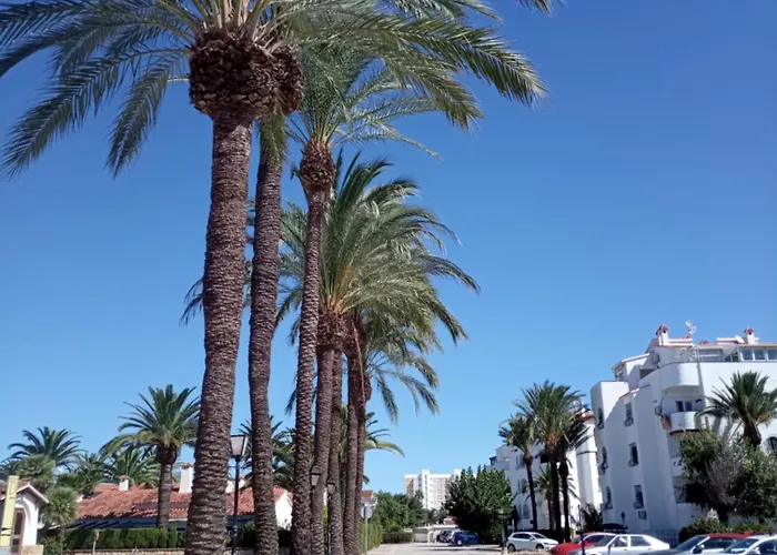 Alojamiento con Piscina y chiringuito Dénia